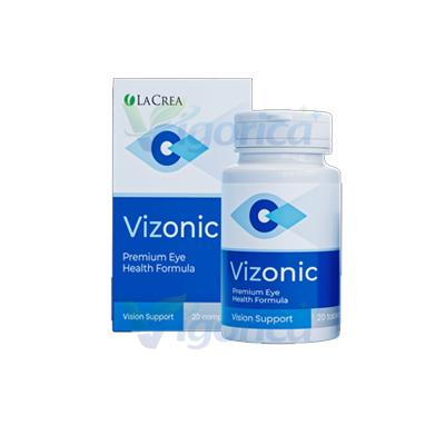 Vizonic
