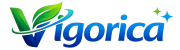 Negozio Vigorica in Italia